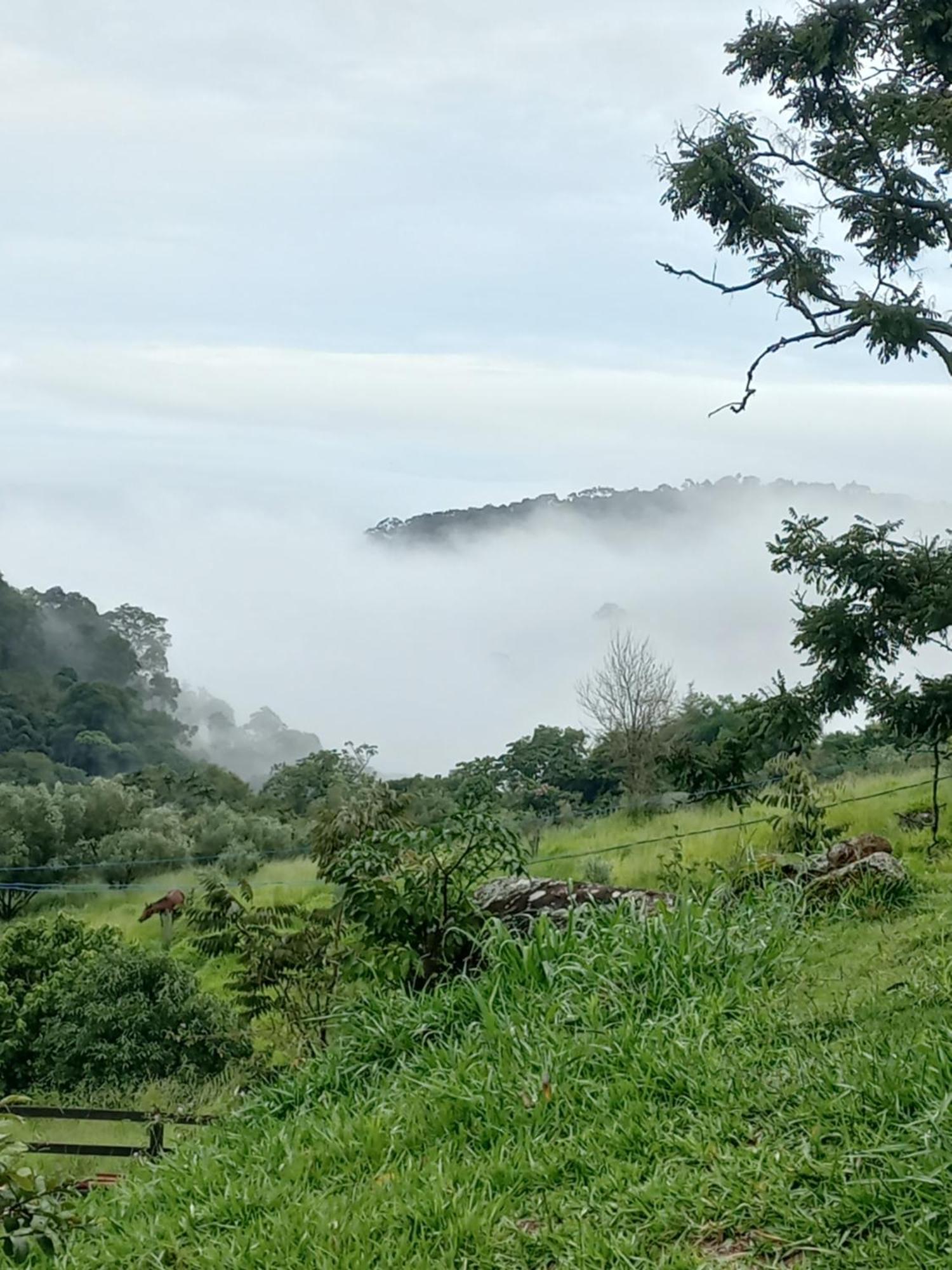 Chale Araucaria- Vale Das Pedras Mg 사푸카이-미링 외부 사진